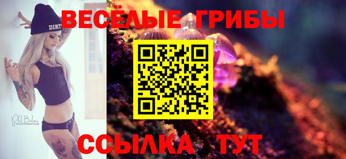 Галлюциногенные грибы Psilocybine cubensis Солнечногорск
